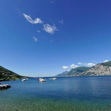 Lory * Malcesine